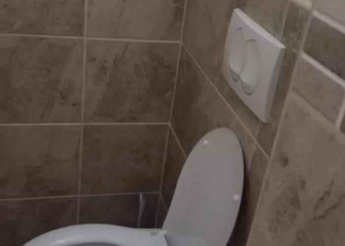 Smestaj Simovic 1 * Arilje