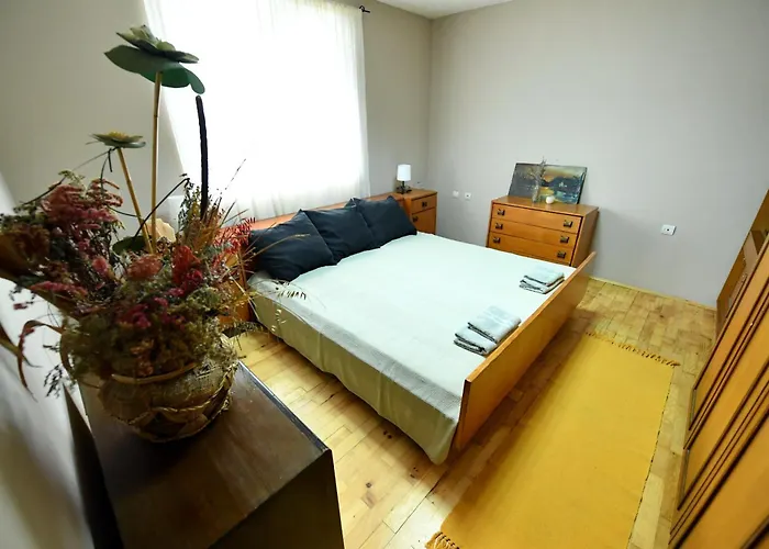 Smestaj Simovic 1 Apartment Arilje